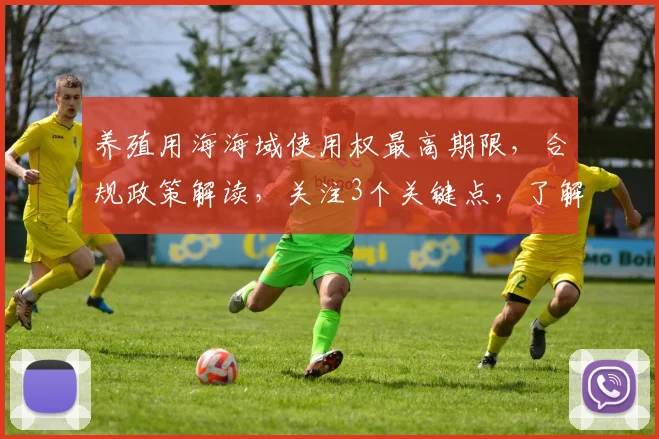 养殖用海海域使用权最高期限，合规政策解读，关注3个关键点，了解期限细节