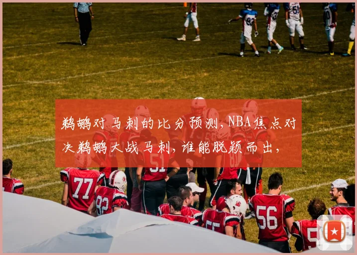 鹈鹕对马刺的比分预测,NBA焦点对决鹈鹕大战马刺,谁能脱颖而出,